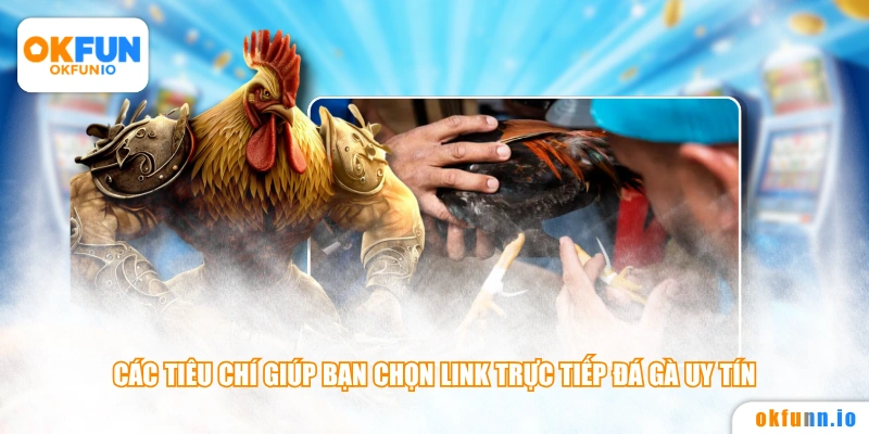 Các tiêu chí giúp bạn chọn link trực tiếp đá gà uy tín