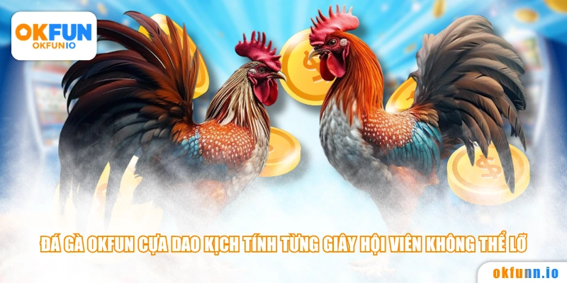 Đá gà OKFUN cựa dao kịch tính từng giây hội viên không thể lỡ