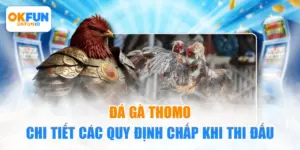 đá gà Thomo