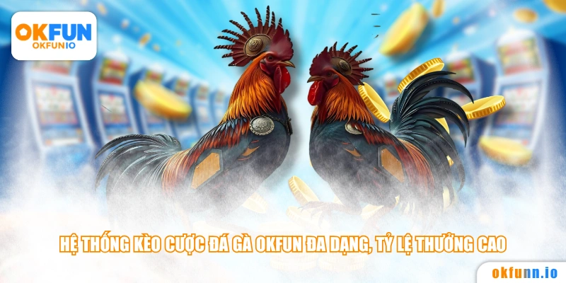 Hệ thống kèo cược đá gà OKFUN đa dạng, tỷ lệ thưởng cao