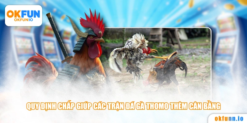 Quy định chấp giúp các trận đá gà Thomo thêm cân bằng