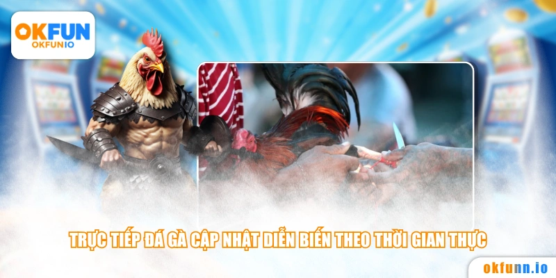 Trực tiếp đá gà cập nhật diễn biến theo thời gian thực